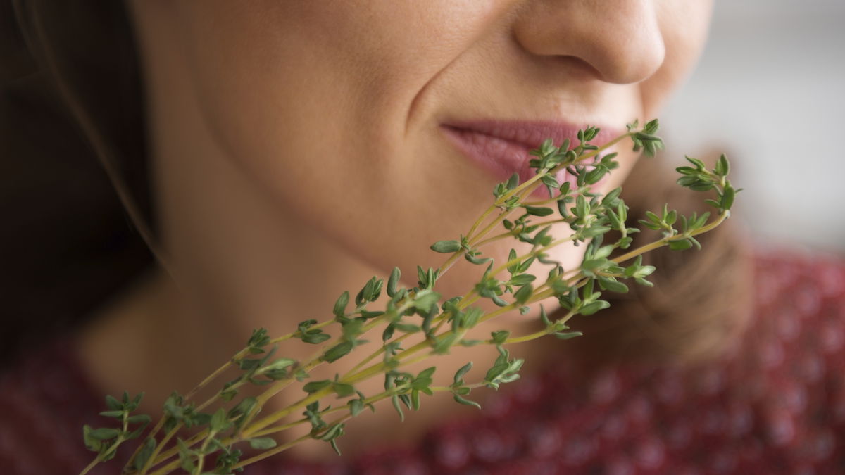 Cure douce à base de plantes : la nature peut être si efficace
