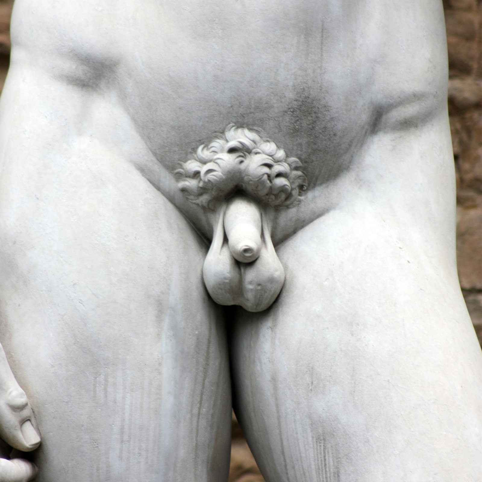 Mükemmel penis aslında nasıl görünmelidir?