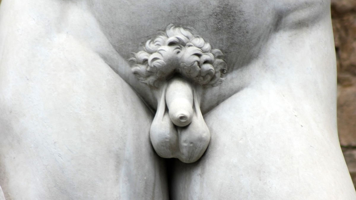 Jak powinien wyglądać idealny penis?