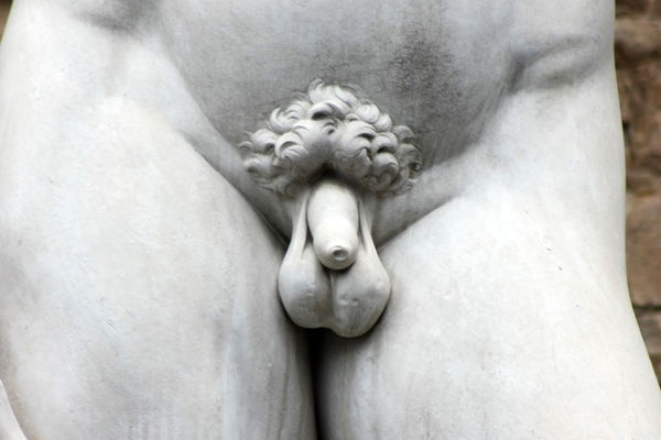 Jak powinien wyglądać idealny penis?