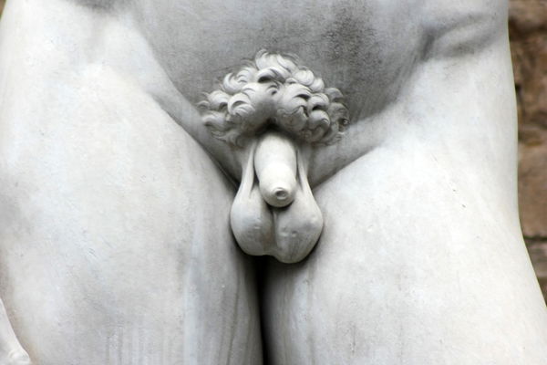 Mükemmel penis aslında nasıl görünmelidir?